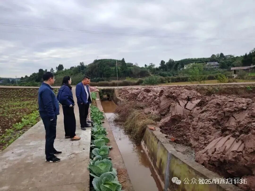 集益镇开展耕地保护巡查工作