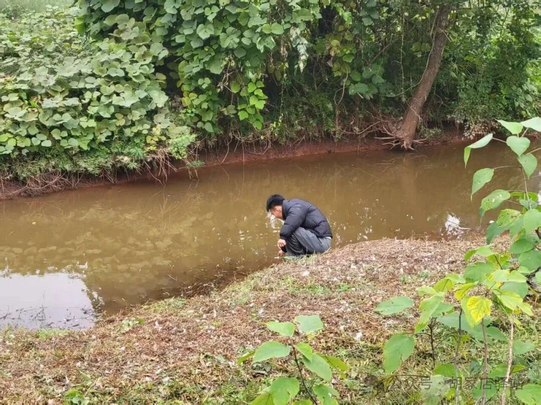 集益镇开展水质监测工作