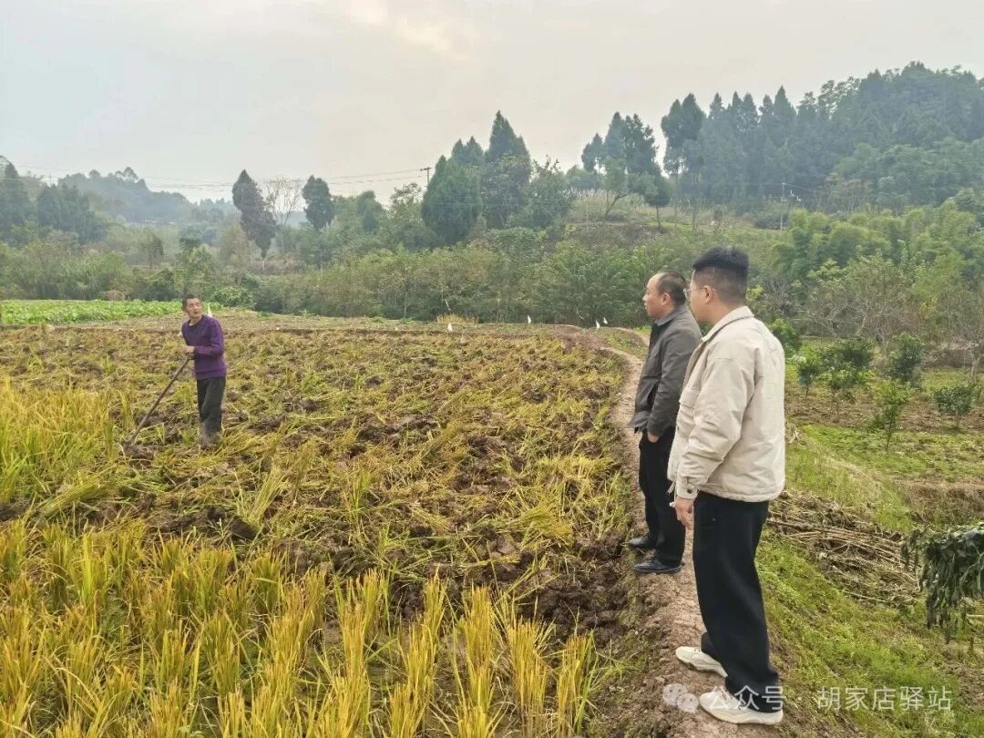 集益镇开展秸秆禁烧巡查工作1