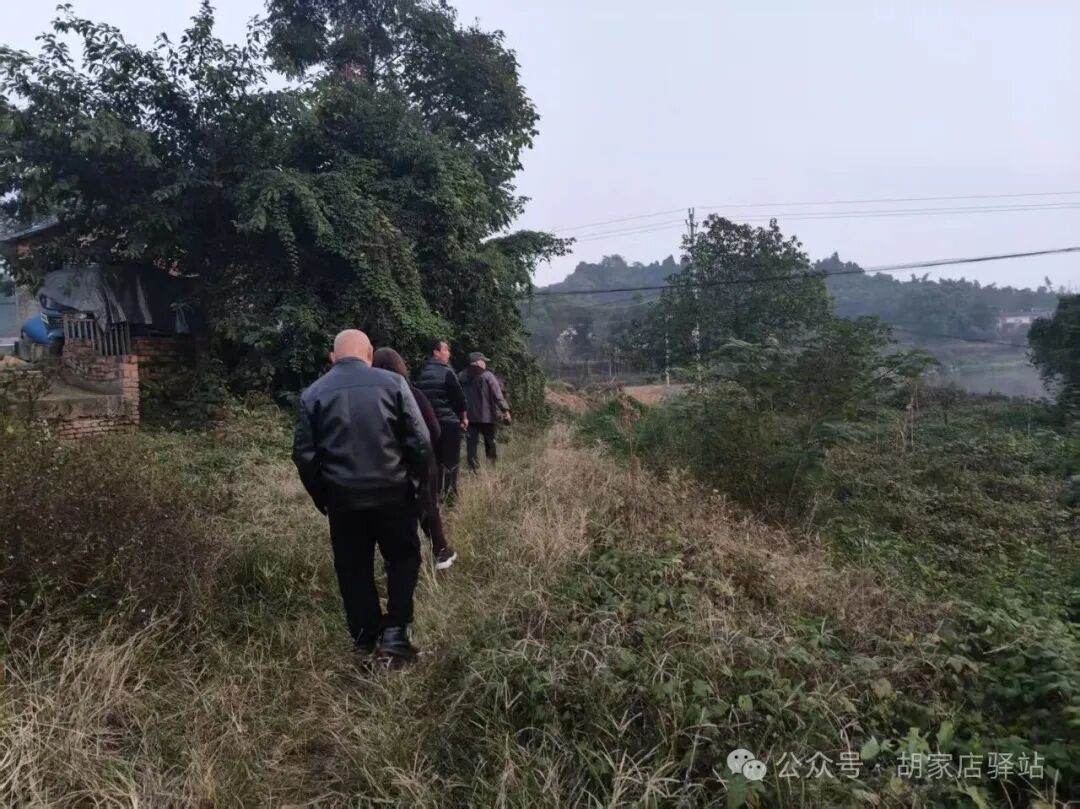 集益镇开展秸秆禁烧巡查工作2