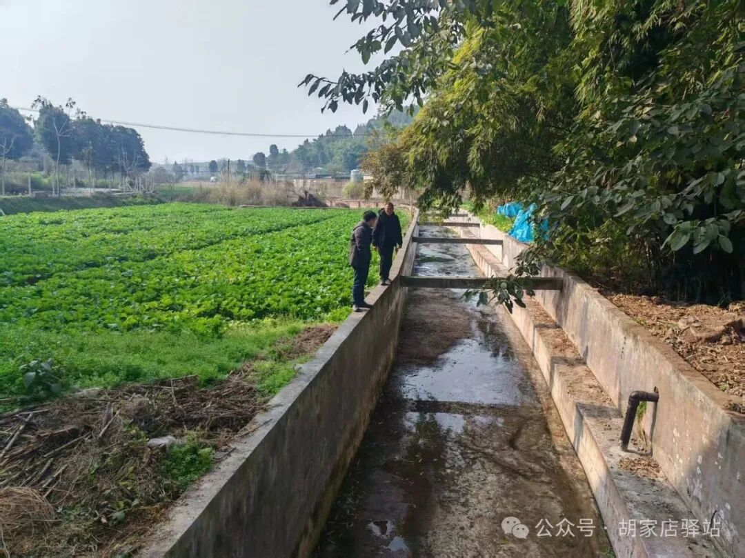 集益镇开展渠道巡查工作