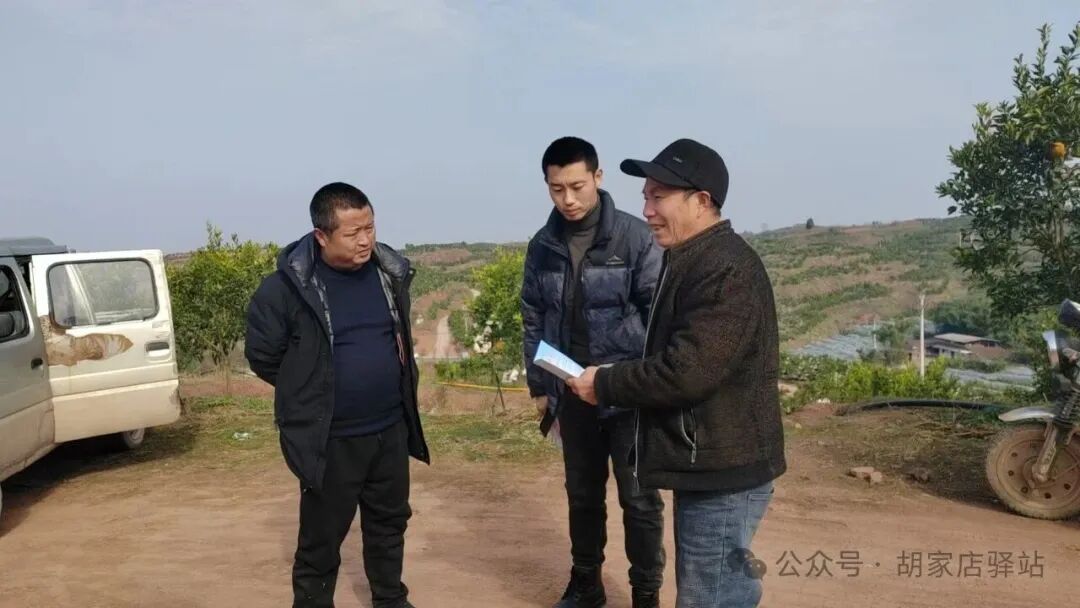 集益镇开展农业设施用地巡查工作